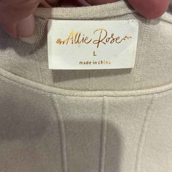 Allie Rose Dolman Sweater Short Sleeve Top Size Large - Picture 4 of 11